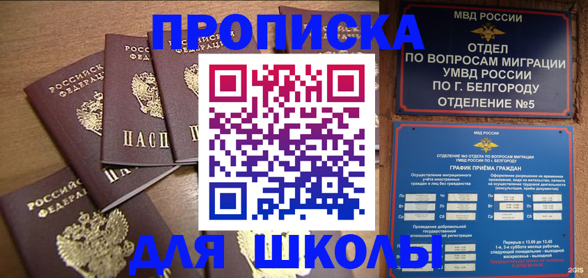 прописка гарантия в Амурске